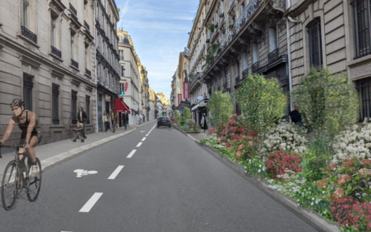 Réaménagement Et Végétalisation De La Rue De Clichy // - Mairie Du 9ᵉ