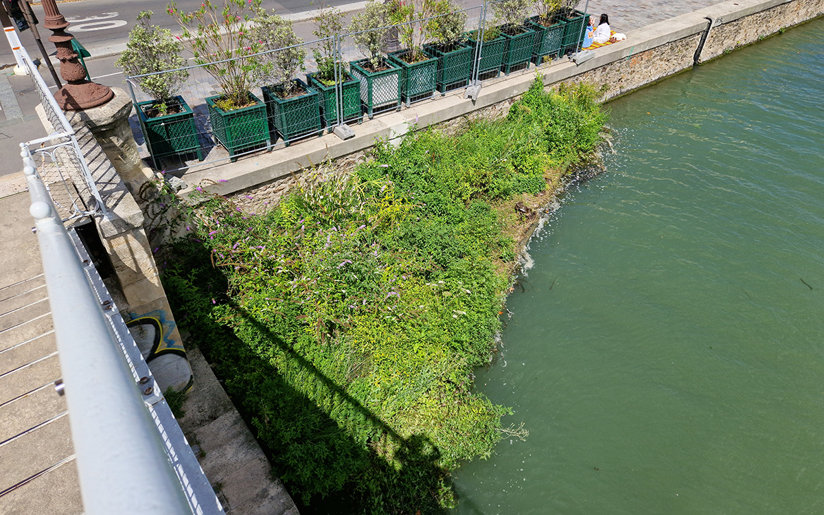 Radeau végétalisé sur le canal de l'Ourcq à Paris 19e
