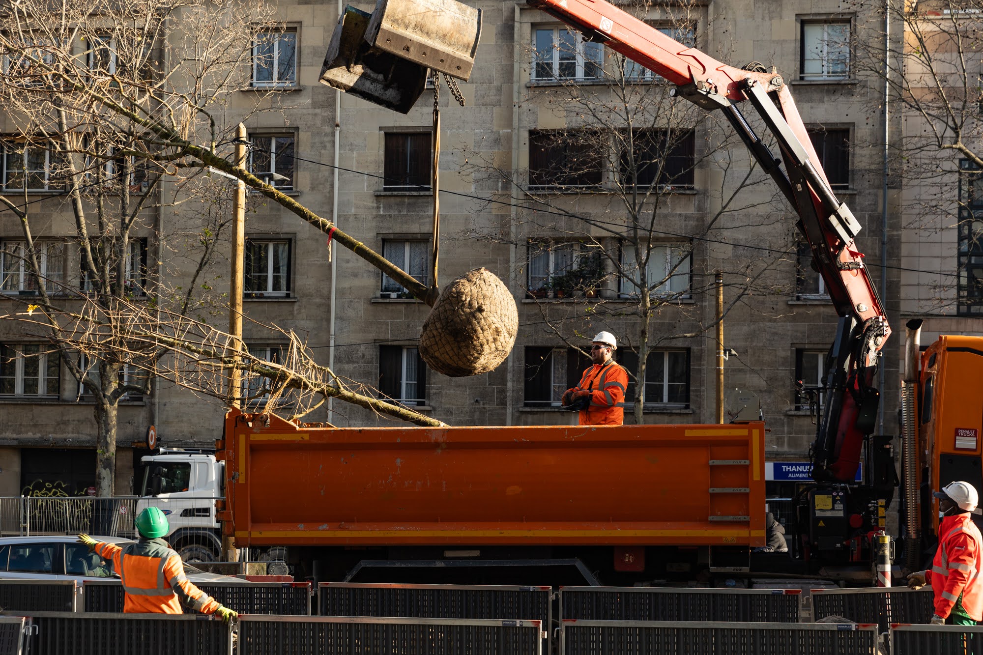 Quels sont ces arbres qui bruissent au-dessus de nos - Ville de Paris