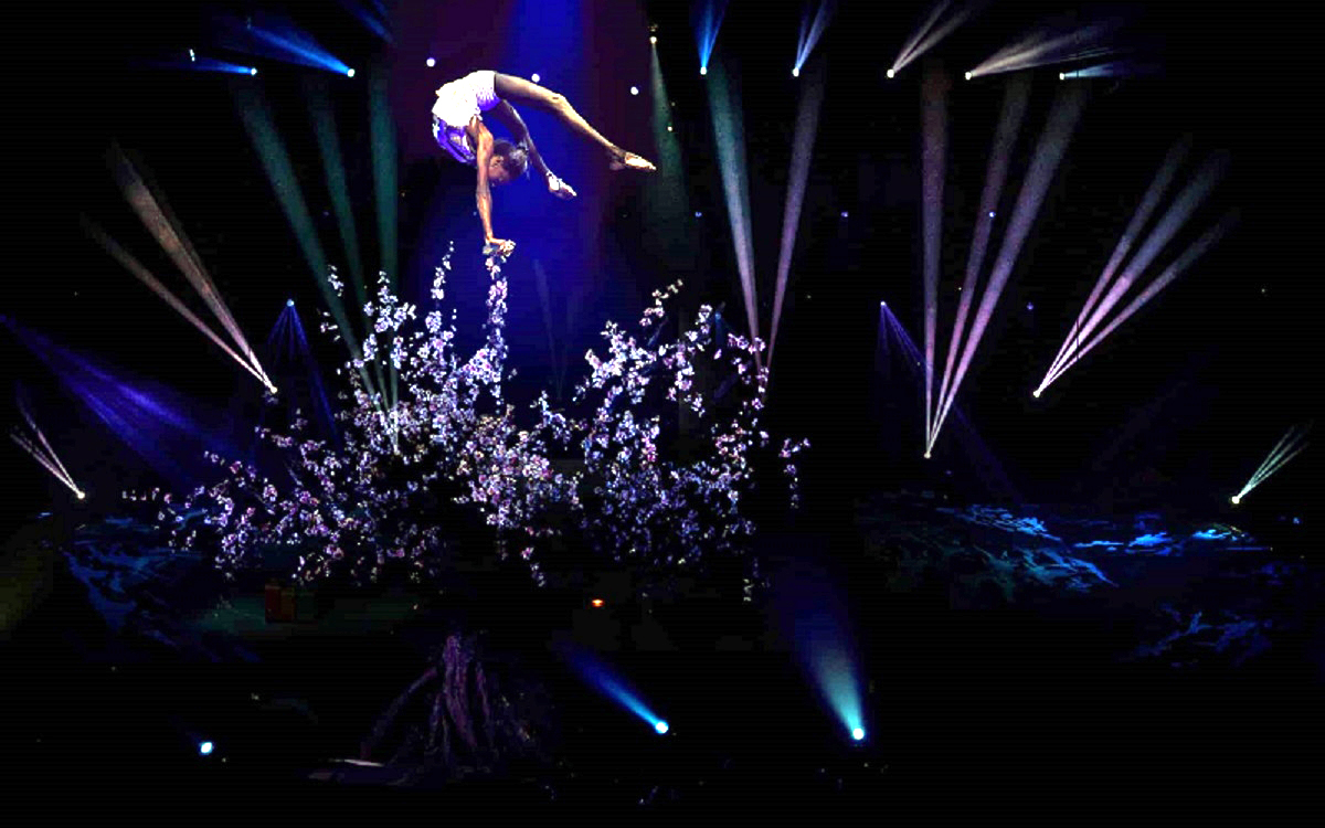 Spectacle du cirque Phenix.