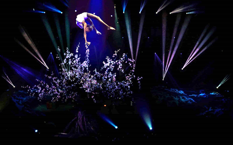 Spectacle du cirque Phenix.