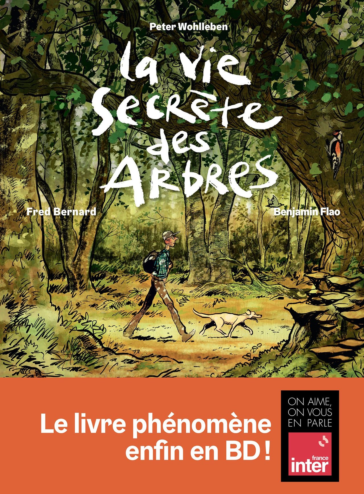 La couverture du livre La Vie secrète des arbres, par Peter Wohlleben, Fred Bernard et Benjamin Flao (Les Arènes)
