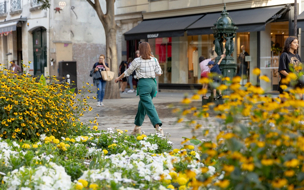 Rue piétonne et végétalisation de la rue du Temple