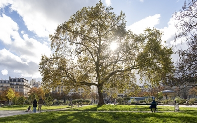 Ambiance Automne