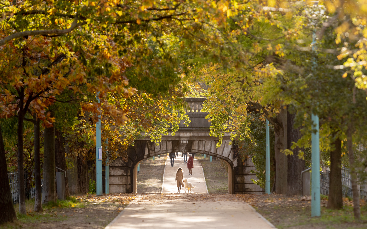 Le revêtement de la promenade de l'île aux Cygnes, dans le 15e, a été refait cet automne. Octobre 2023.