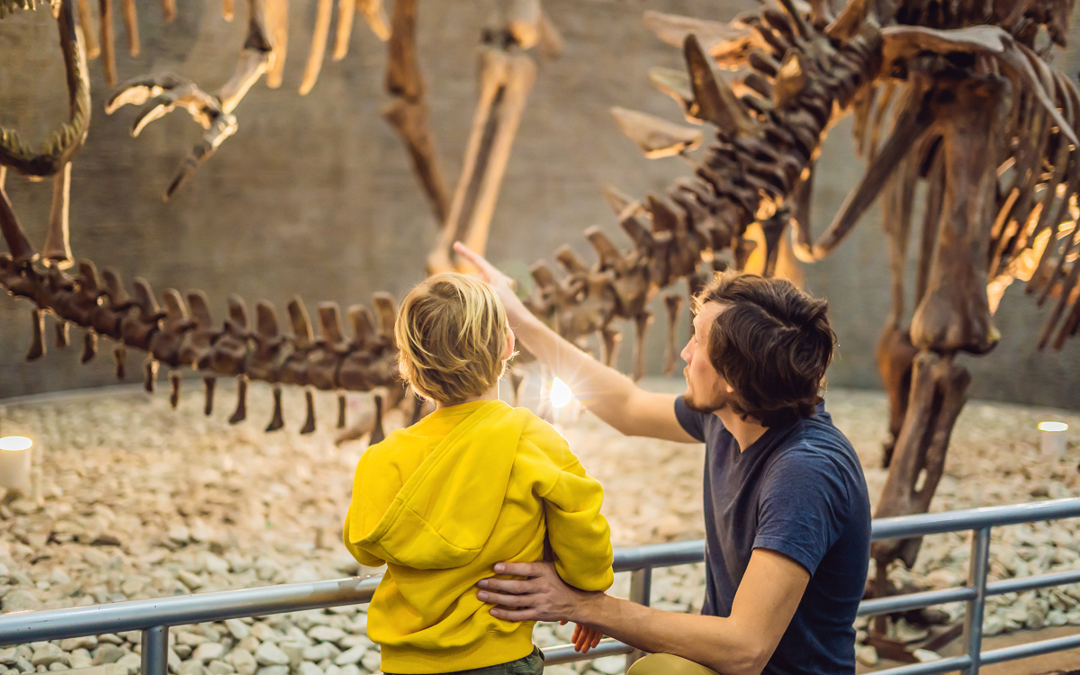 Visite dans un musée d'histoire naturelle.