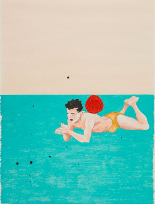 Géraldine PASTOR LLORET "Le corps actif" 1997 - 1998 Dessin Série de 16 dessins Crayons de couleurs  39 x 29 cm  Acquisition 1999