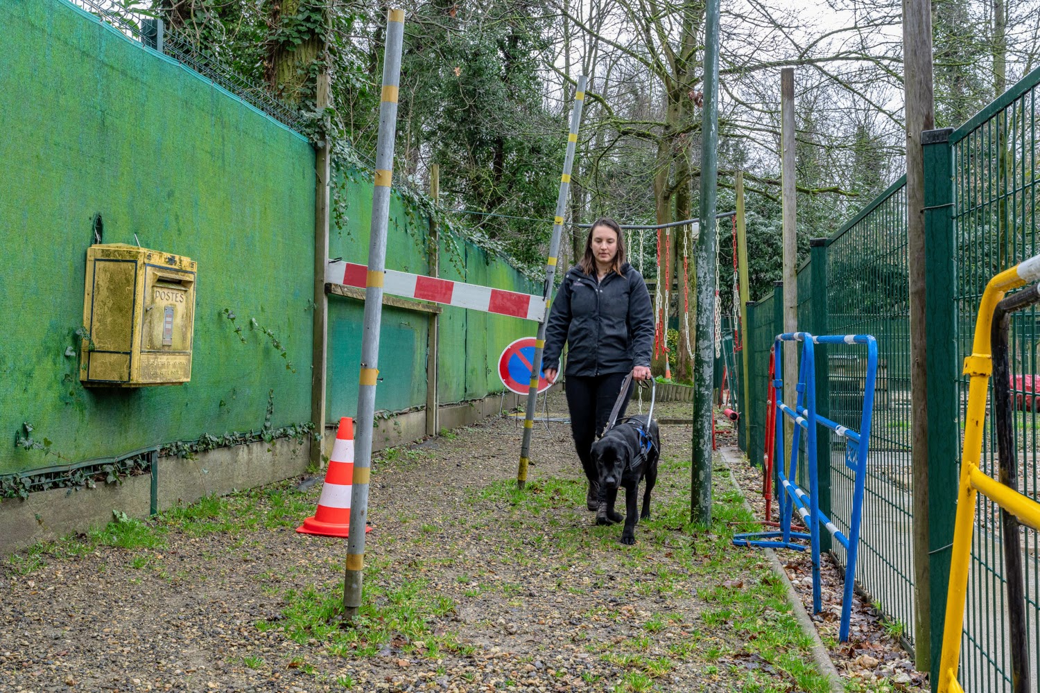 Ecole de chiens guides - entraînement mobilier urbain