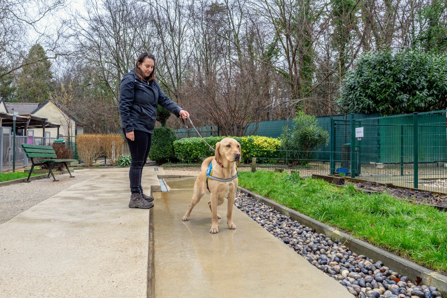 Ecole de chiens guides - caniveau