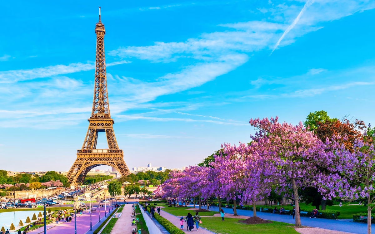 La Tour Eiffel avec un parc devant et des fleurs roses
