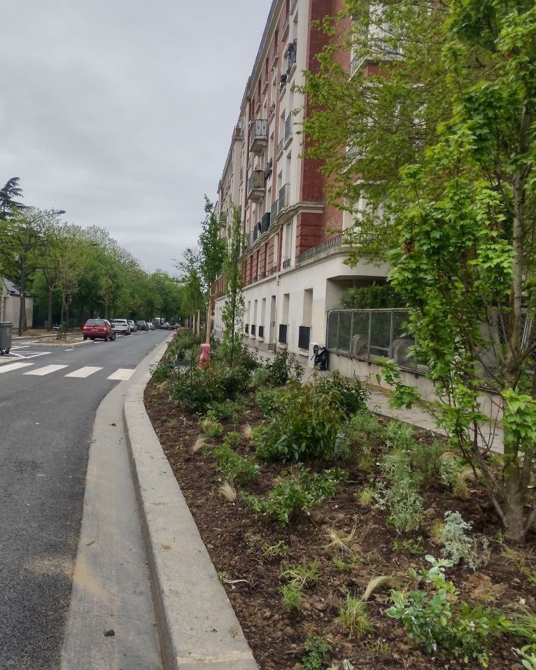 La végétation haute et basse rue Louis Lumière et rues des Dr Déjerine