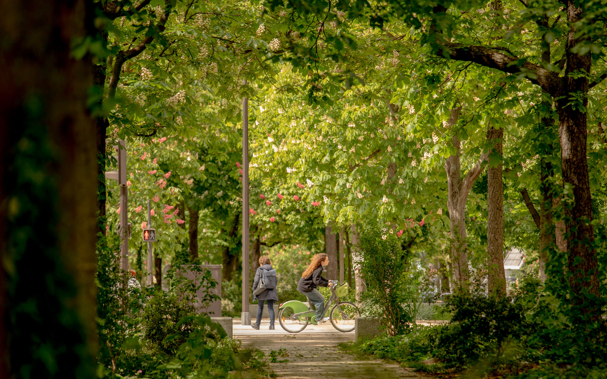 Balade à vélo, à travers la végétation parisienne.