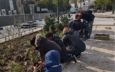 Végétalisation de la rue Le Vau par les enfants de l'école