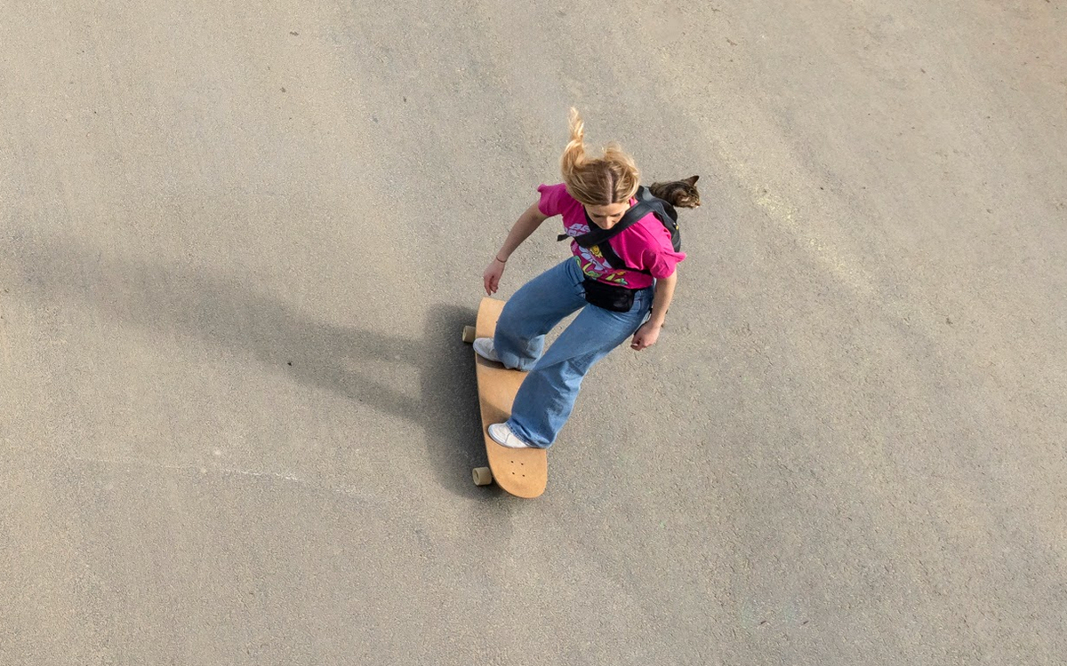 Skate et chat.