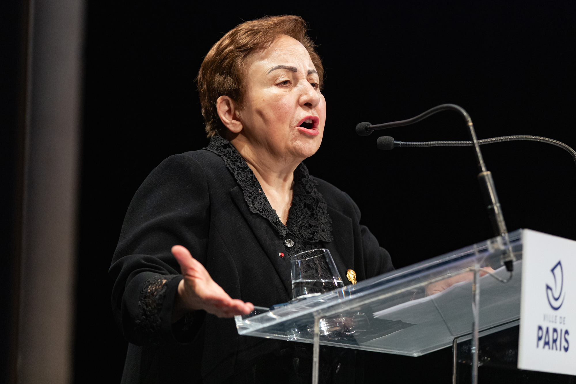 Shirin Ebadi, Prix Noe la Paix (2003), avocate et juge Iranienne 