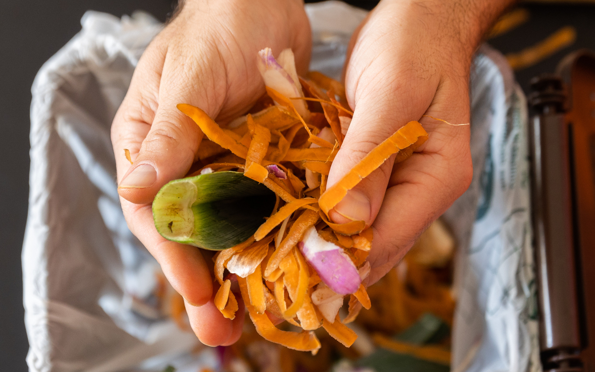 Compostage - déchets alimentaires