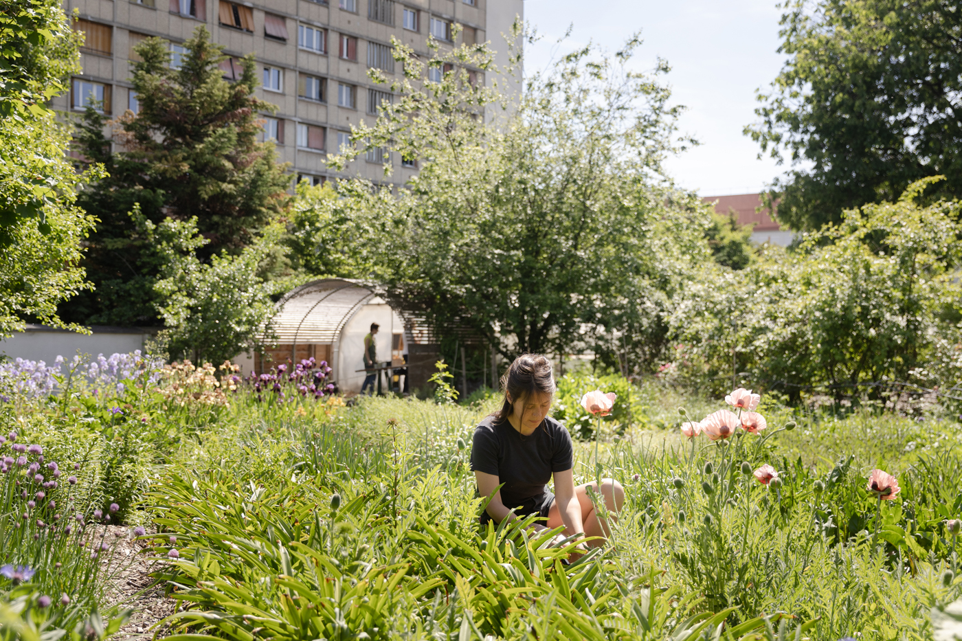 jeune femme dans des fleurs 