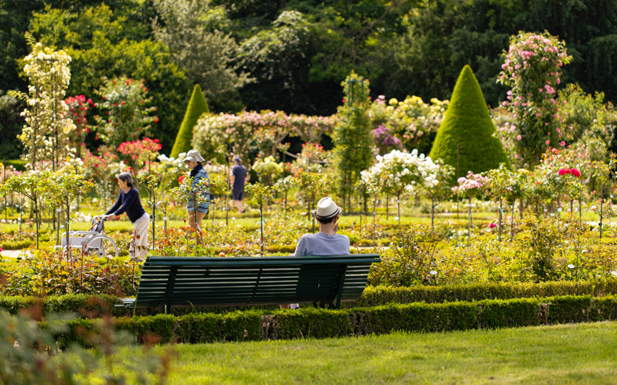 Une personne sur un banc dans la Roseraie du parc de Bagatelle