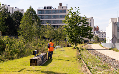 Bois de Charonne et petite ceinture 20e