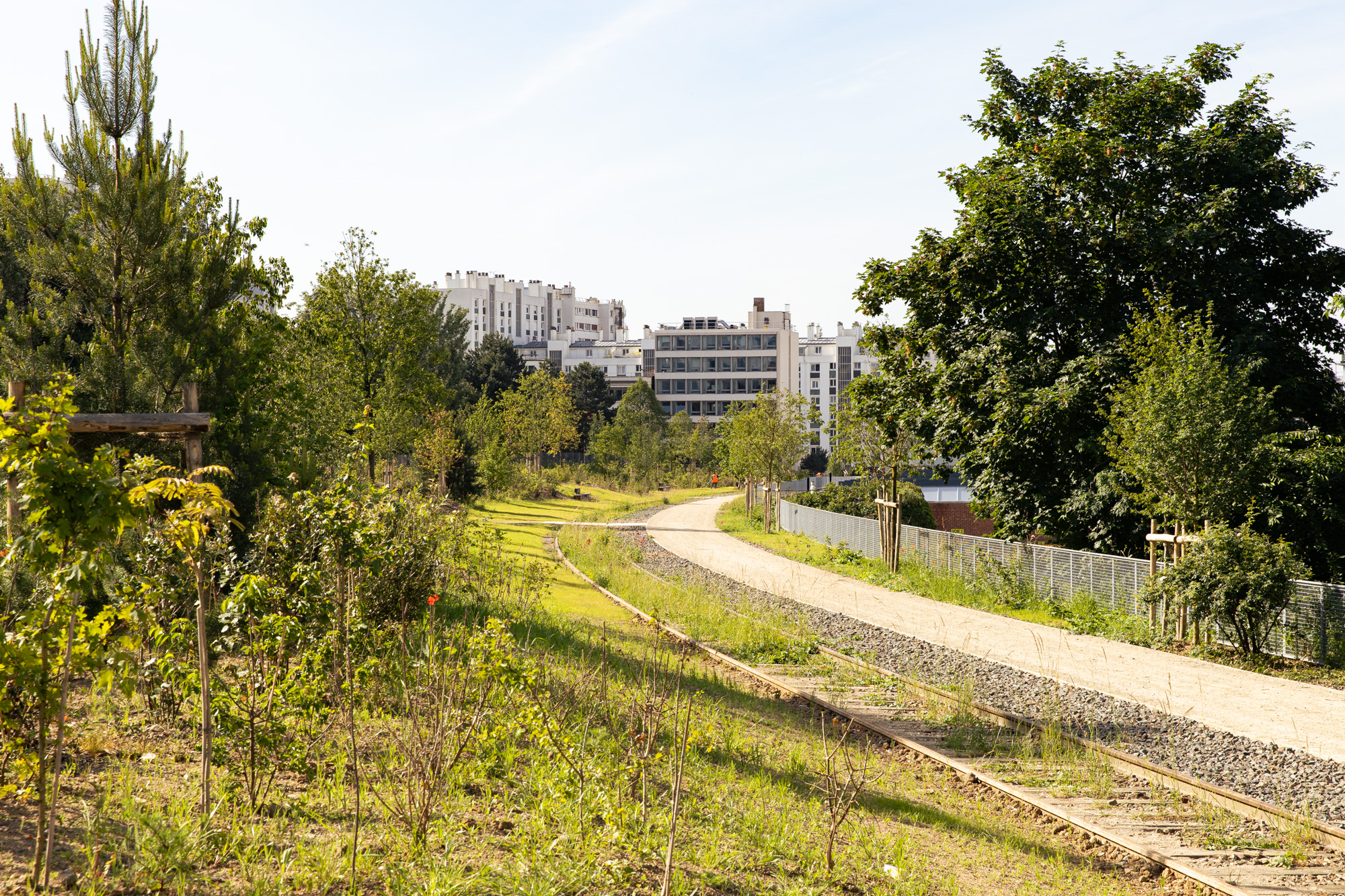 Bois de Charonne et petite ceinture 20e