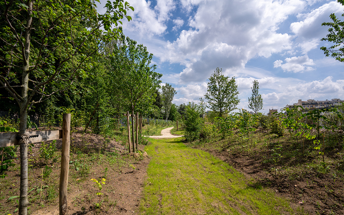 Photo d'une vue du bois de Charonne