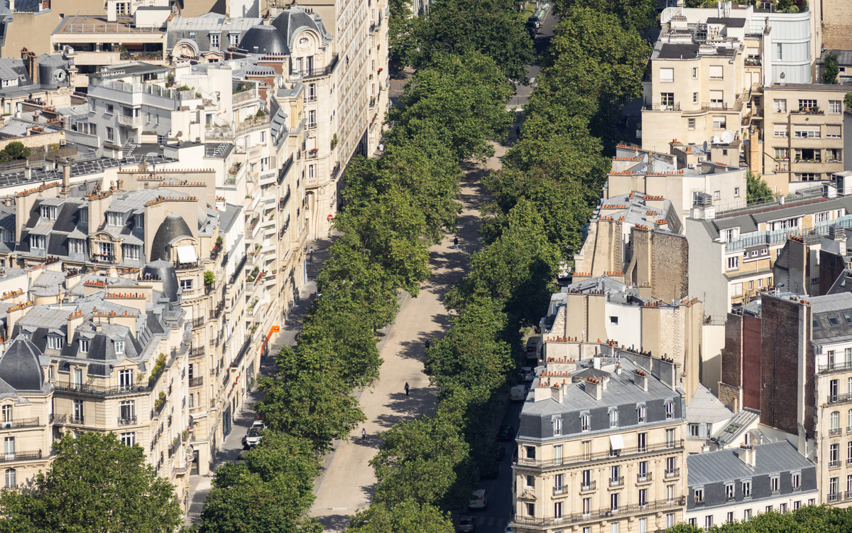 Vue aérienne sur l'avenue de saxe, bordée d'arbres.