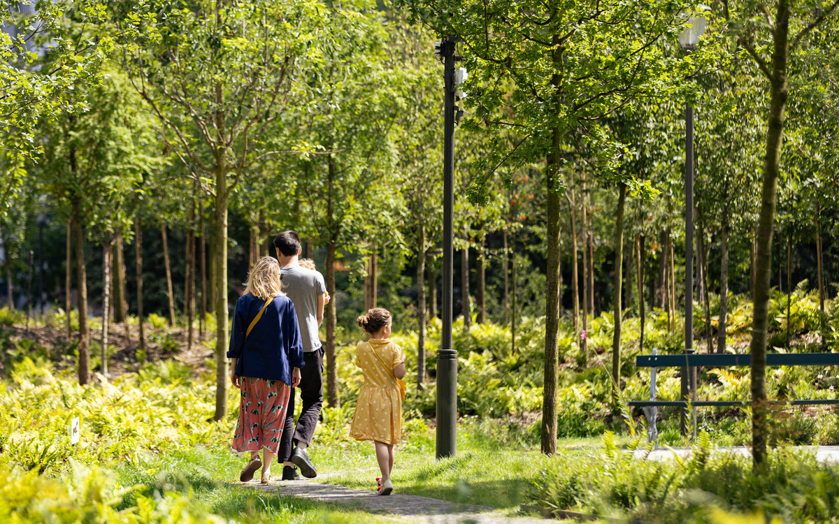 Une forêt urbaine prend vie place de Catalogne - Ville de Paris