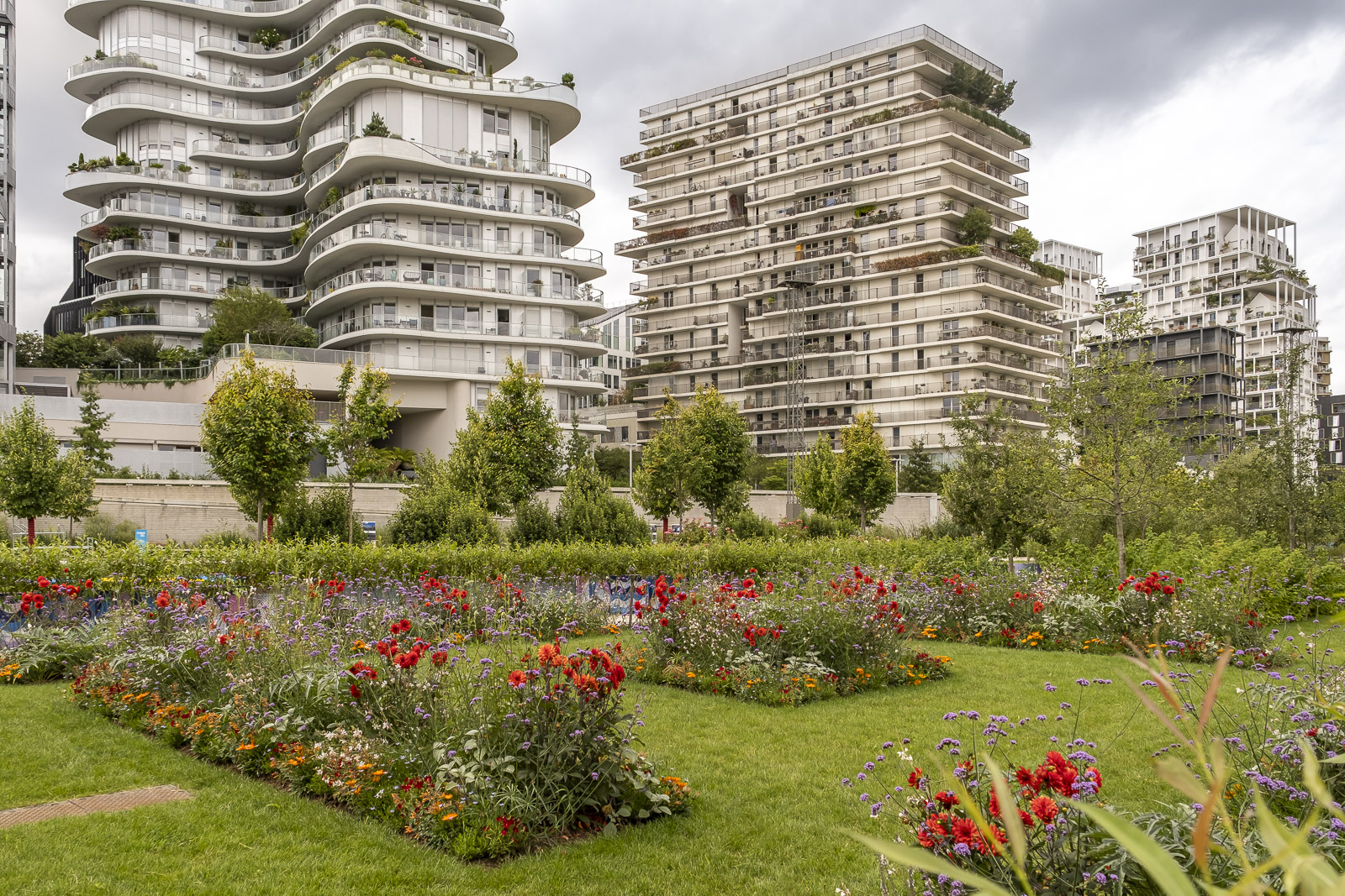 massif de fleurs 