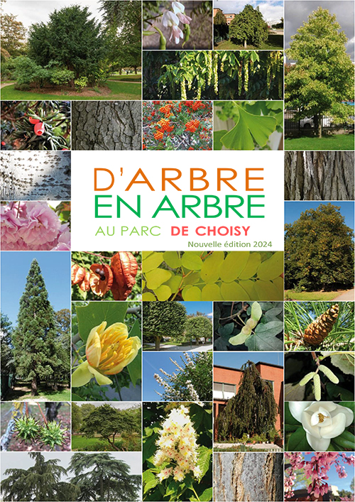 Des photos des arbres et fleurs du Parc de Choisy