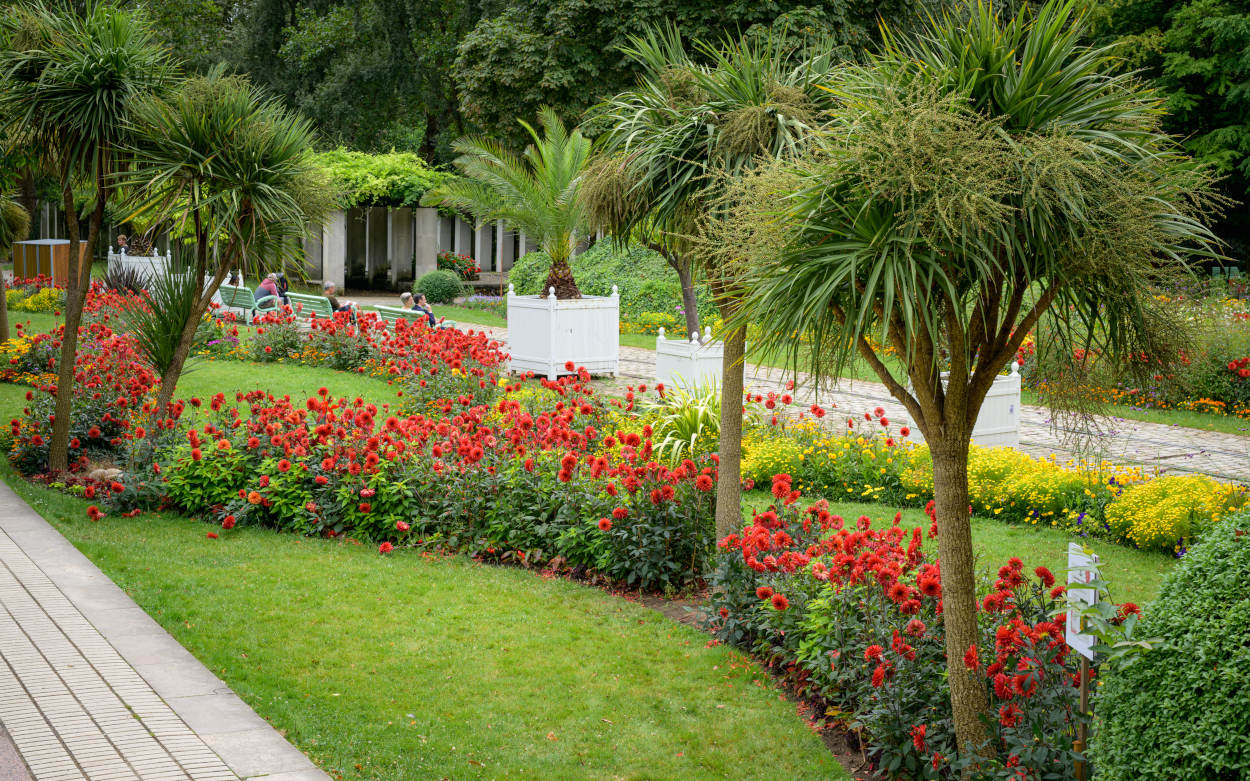 massif de fleurs 