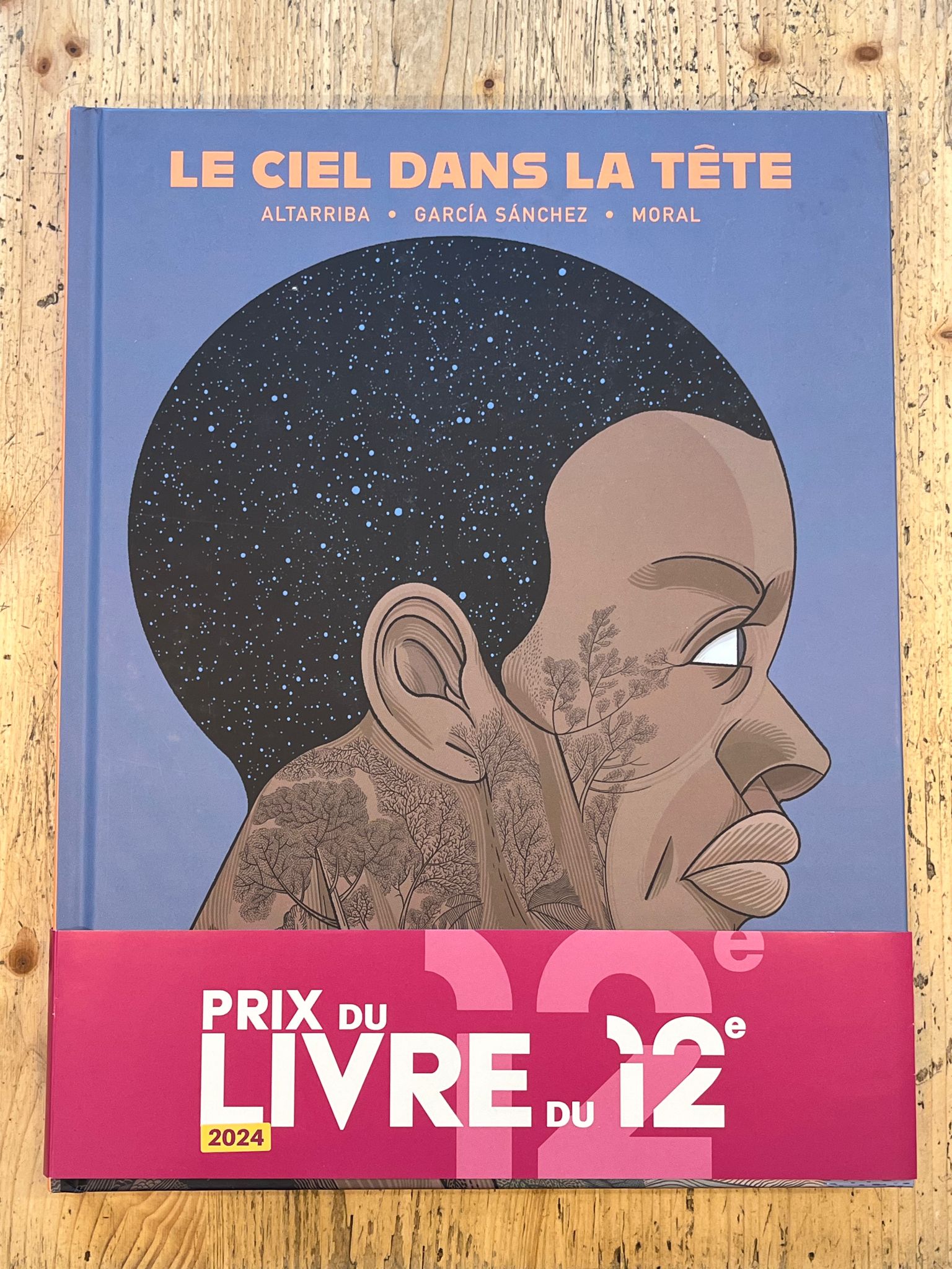 le prix du livre du 12 lauréat le ciel dans la tête