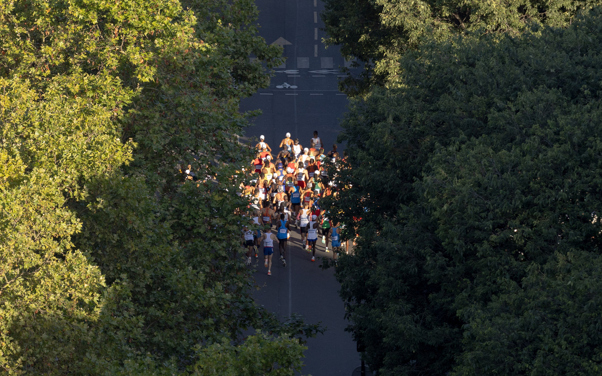 Les coureurs cernés d'arbres passent dans Paris au cours du marathon hommes 2024