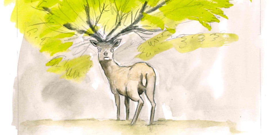 Illustration cerf-arbre de Yann Wehrling