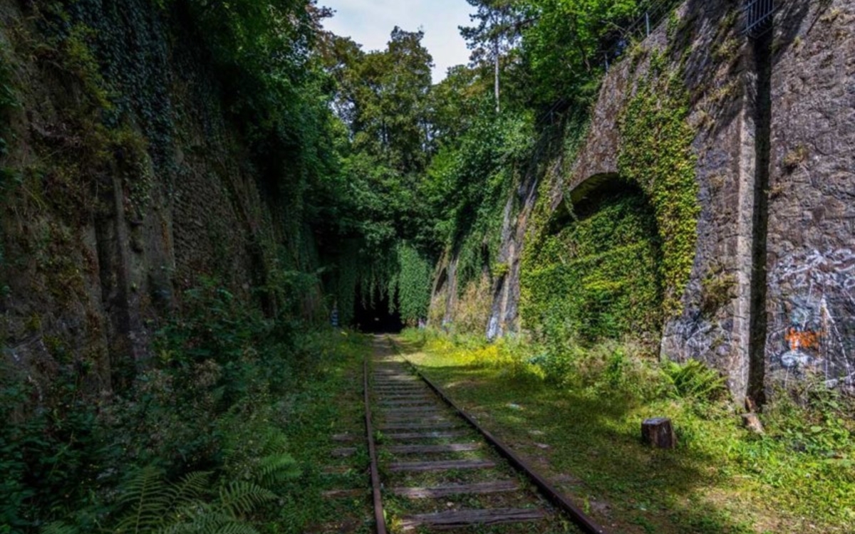 Aménagement de la Petite Ceinture, dans le 14e arrondissement, grâce au Budget Participatif parisien