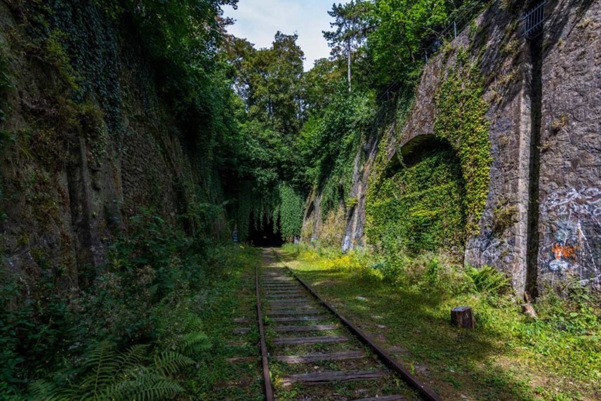 Aménagement de la Petite Ceinture, dans le 14e arrondissement, grâce au Budget Participatif parisien