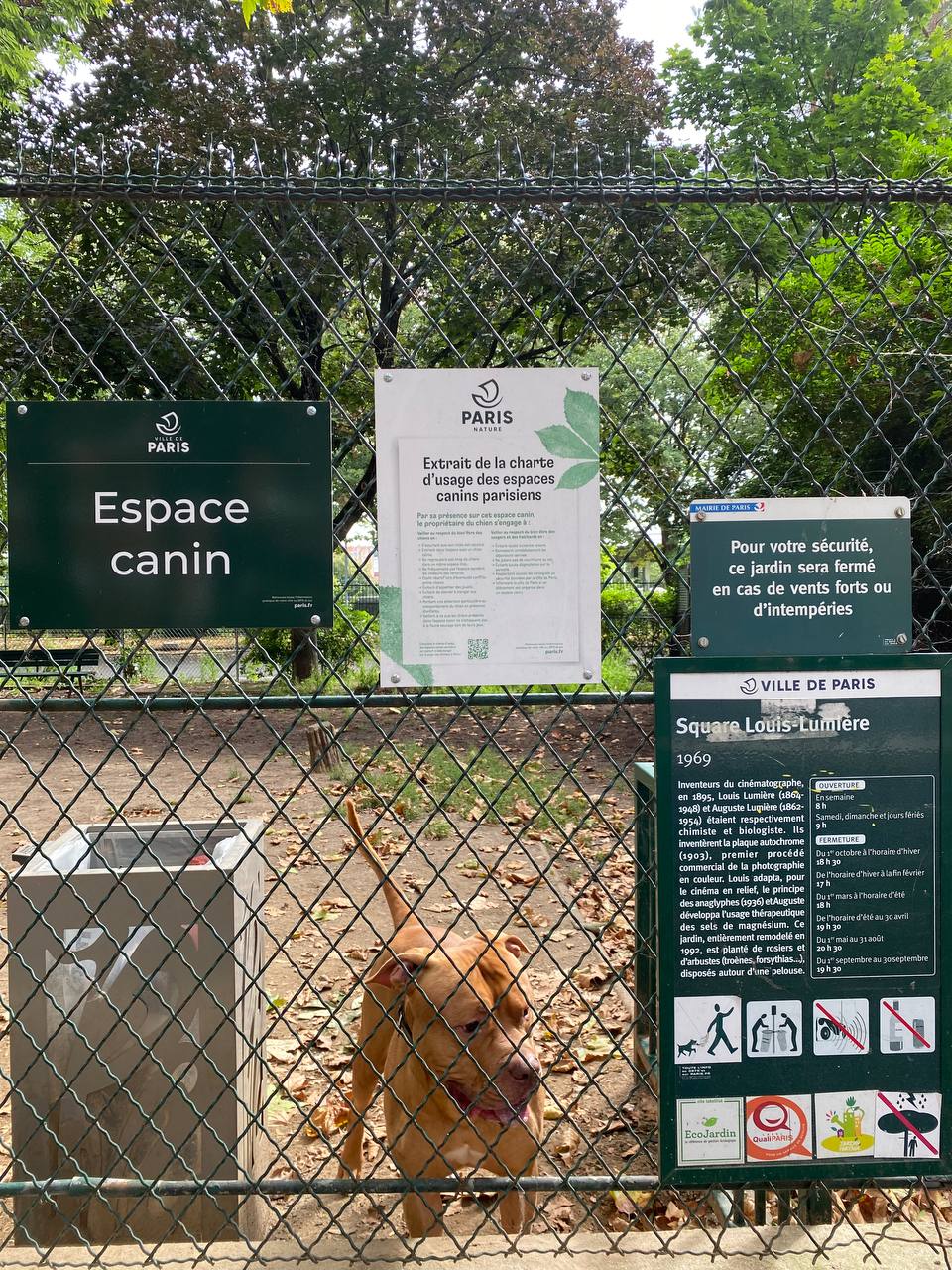 Photo d'un chien dans l'espace canin du square Louis Lumière