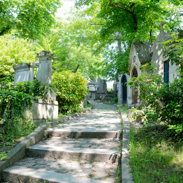 Vue du cimetière du Père-Lachaise 