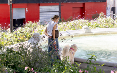 Une femme promenant ses chiens place Pigalle