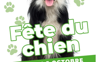 On y voit le visuel de la journée du chien