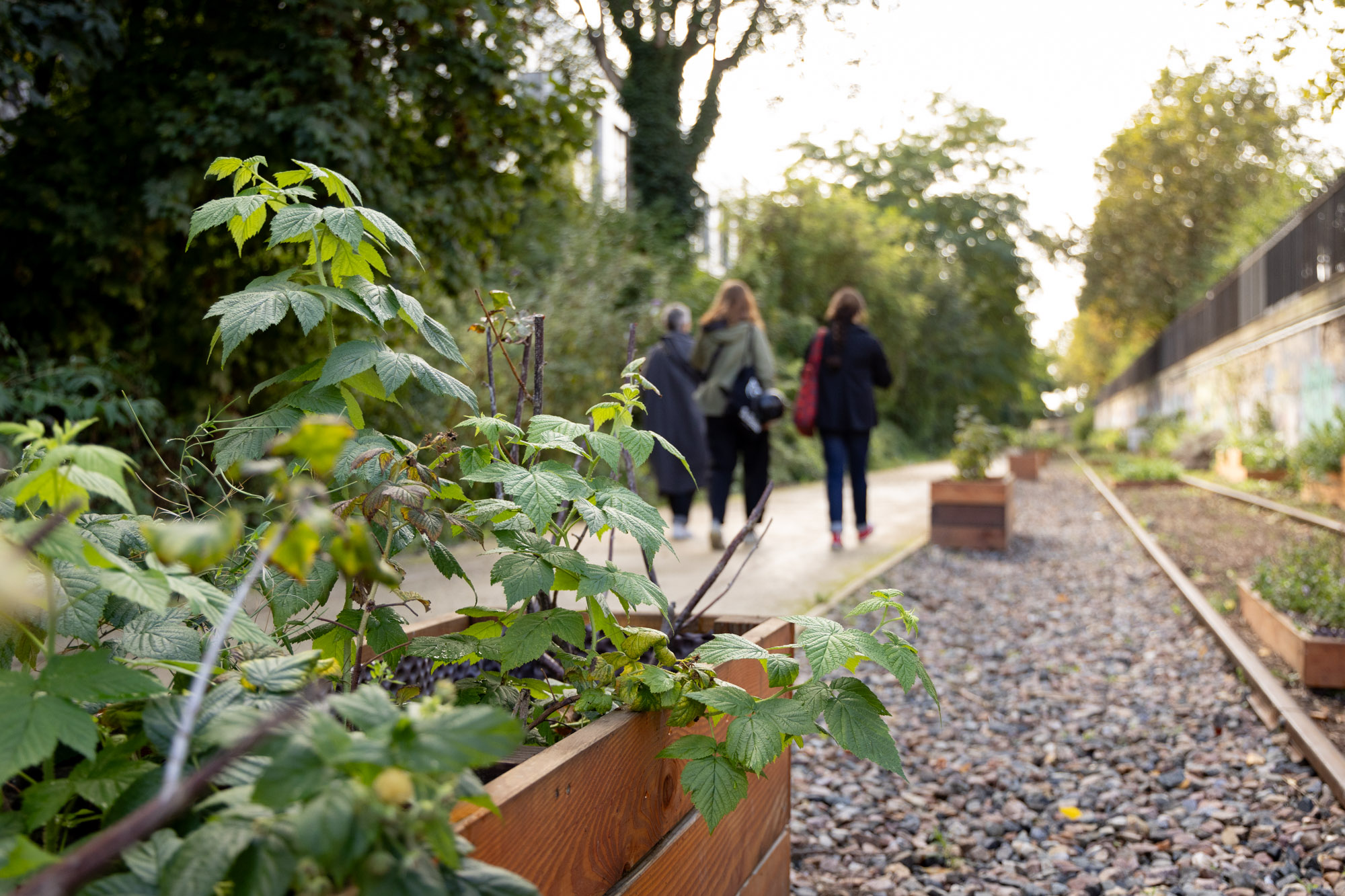 Inauguration de Parisculteurs du jardin des traverses