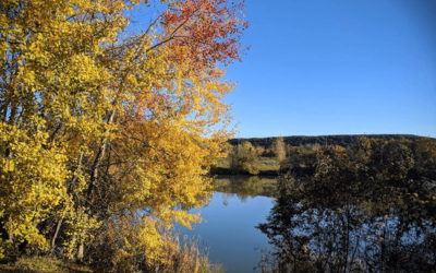 photo d'une forêt en automne et un lac