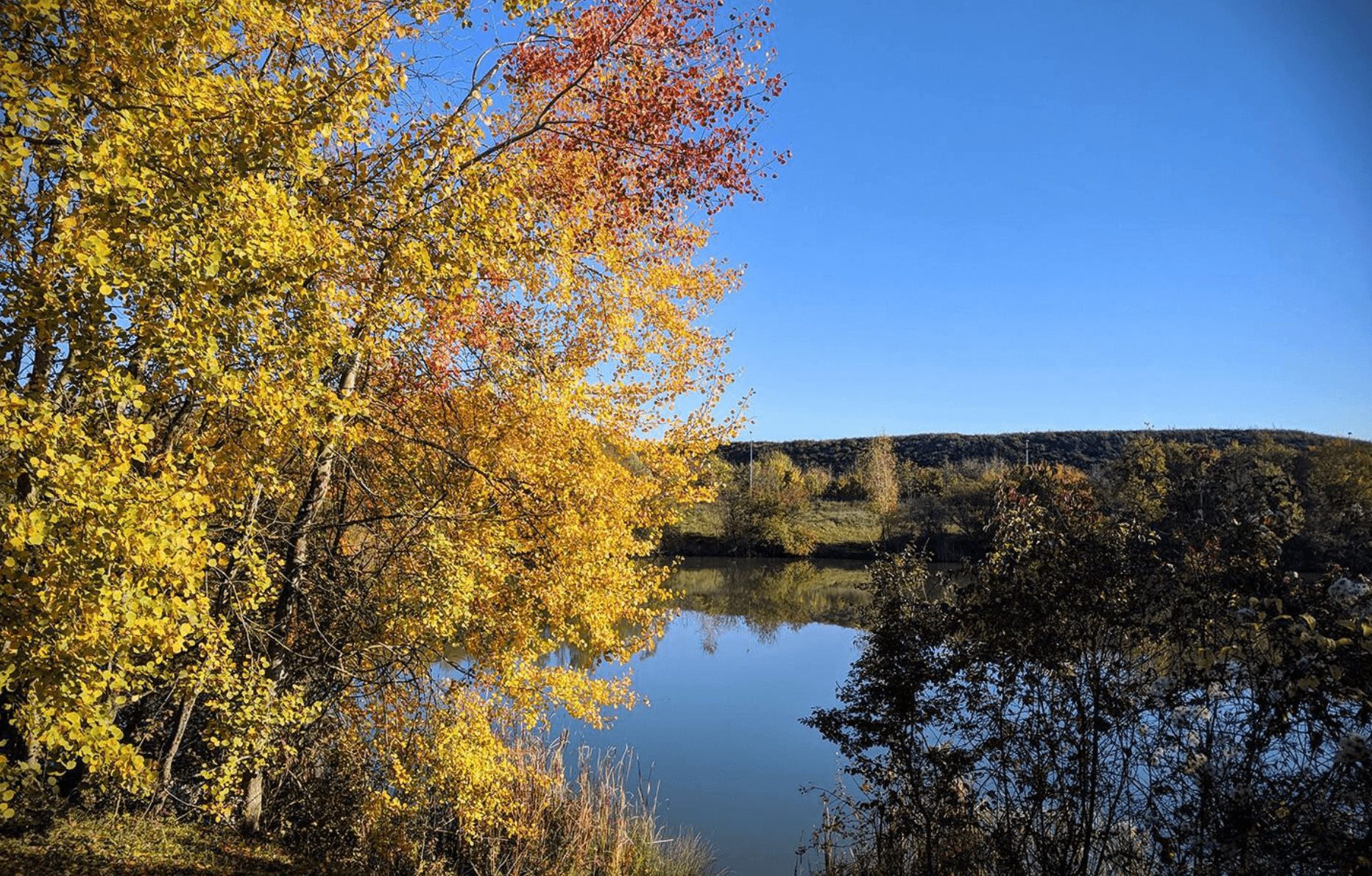 photo d'une forêt en automne et un lac