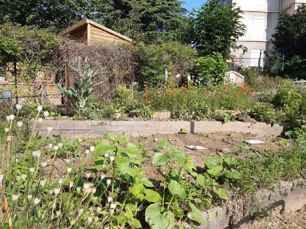 Jardin participatif