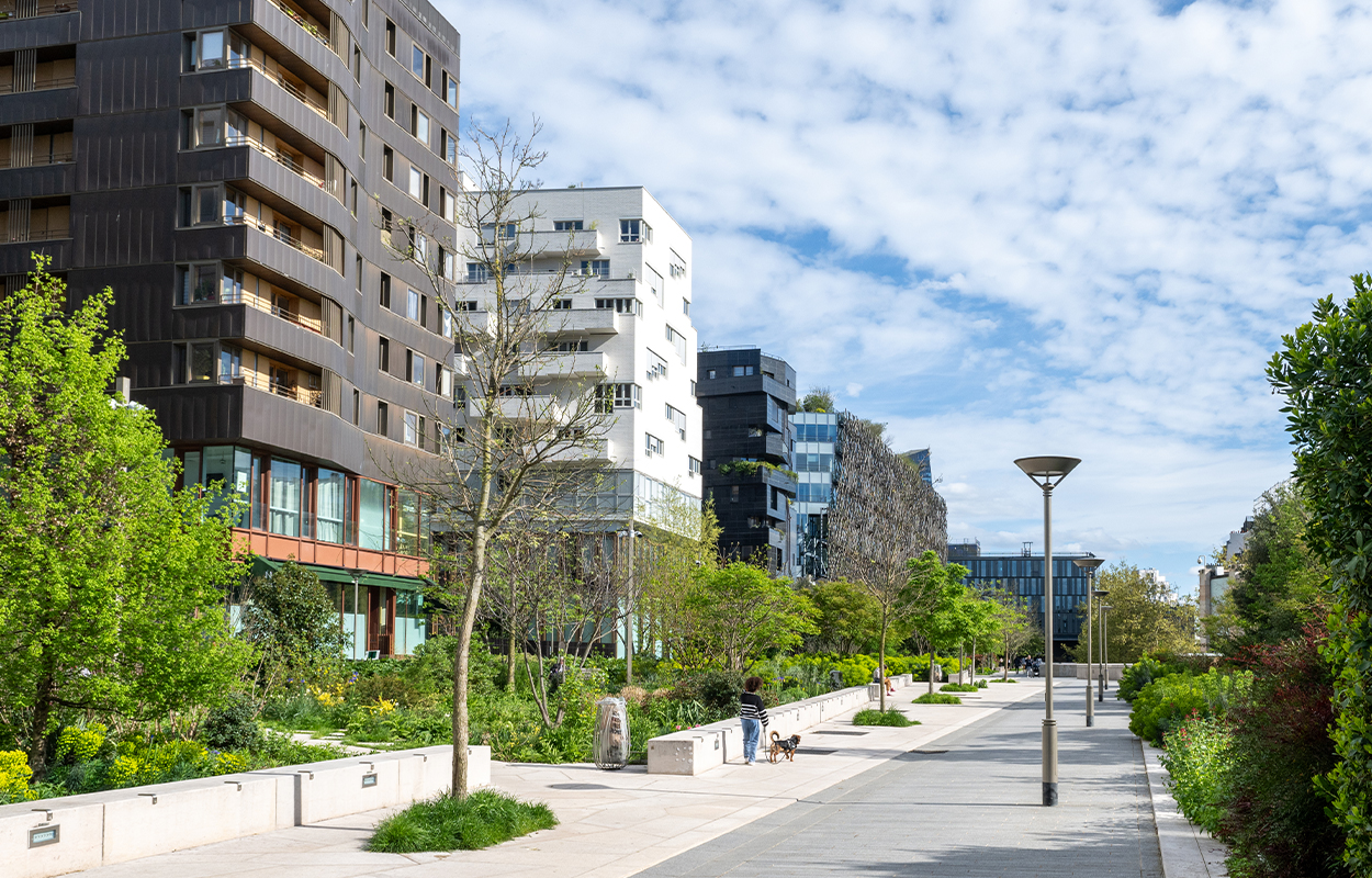 photo d'une allée avec de la végétation dans le 13e