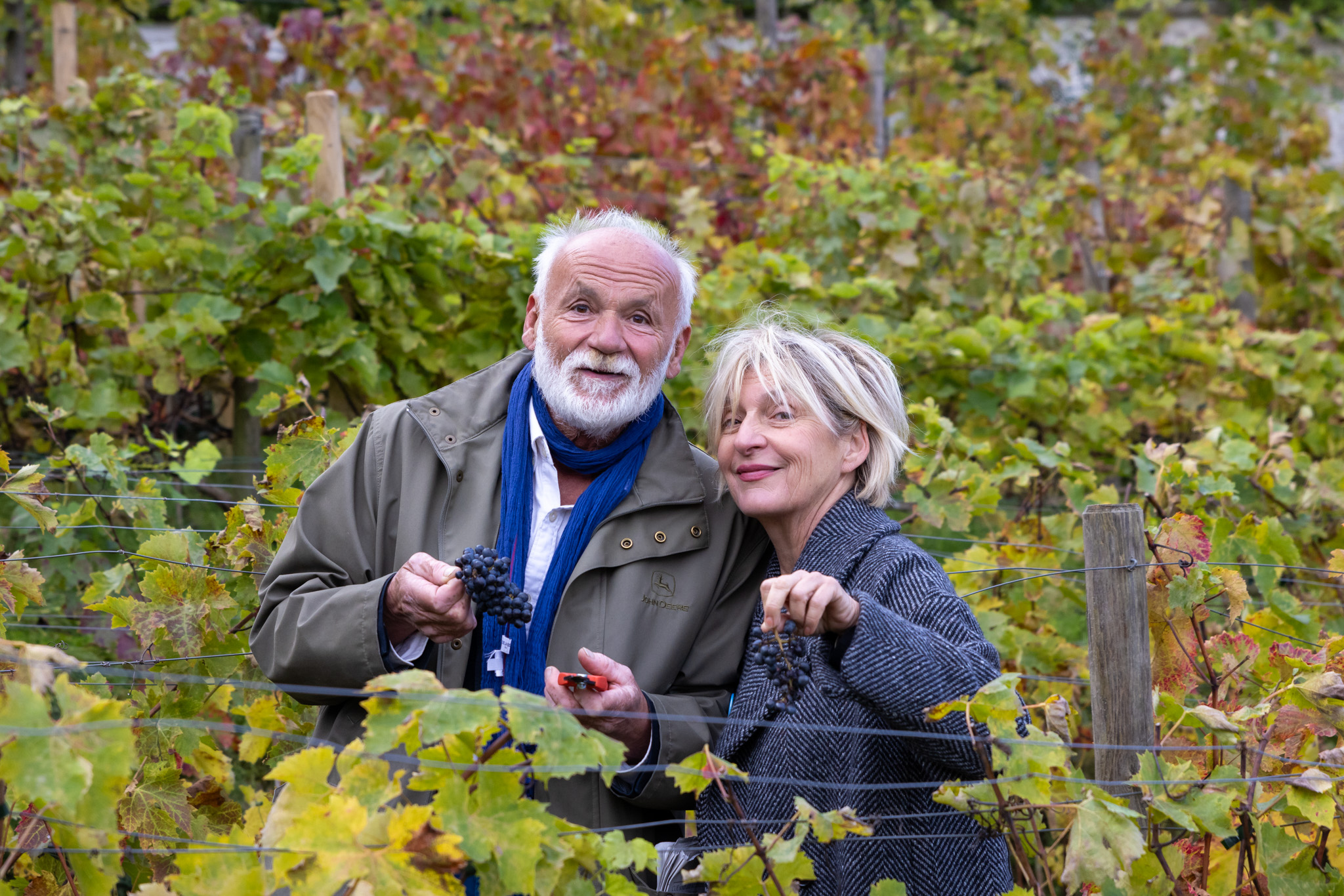 Ban des Vendanges 2024