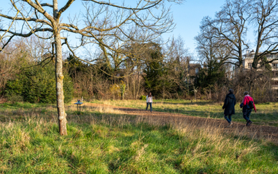 des arbres avec des gens