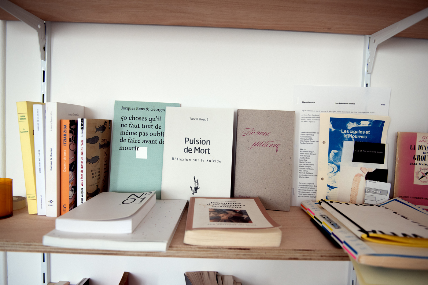 Des livres sur une étagères dans la salle BOOK du projet O'Leonie, artiste run space dans le 19e