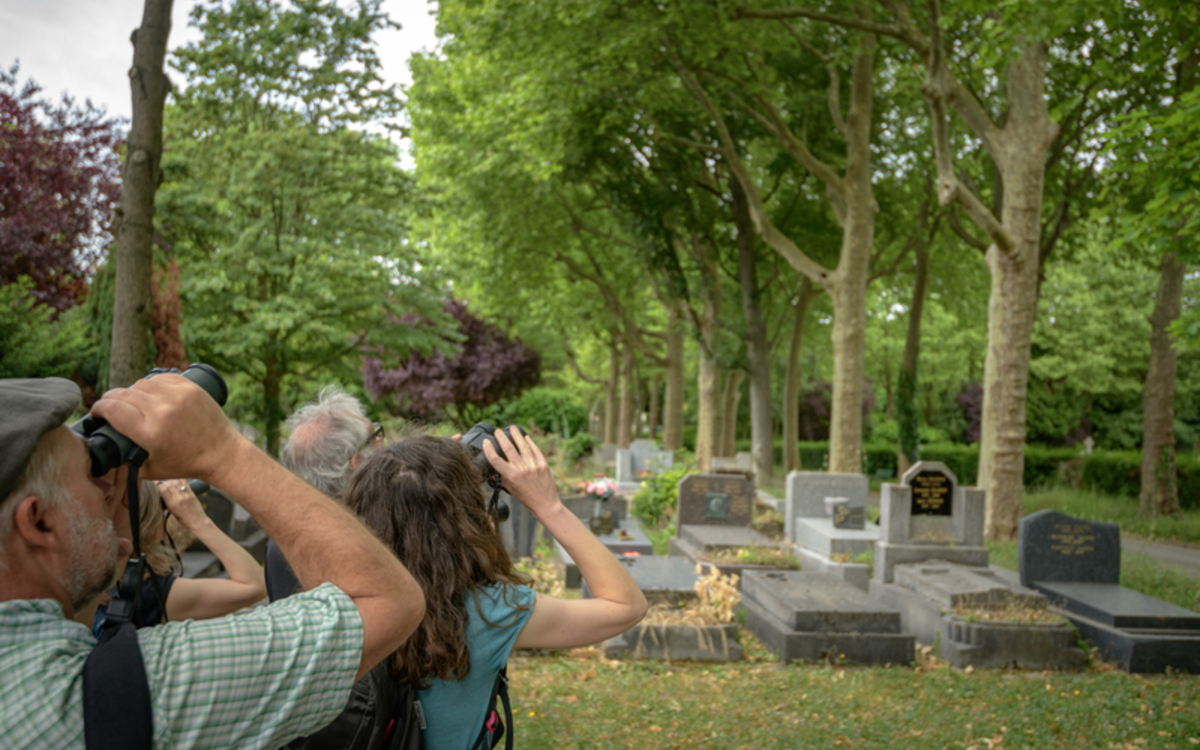 Des visiteurs observent avec des jumelles la cime des arbres