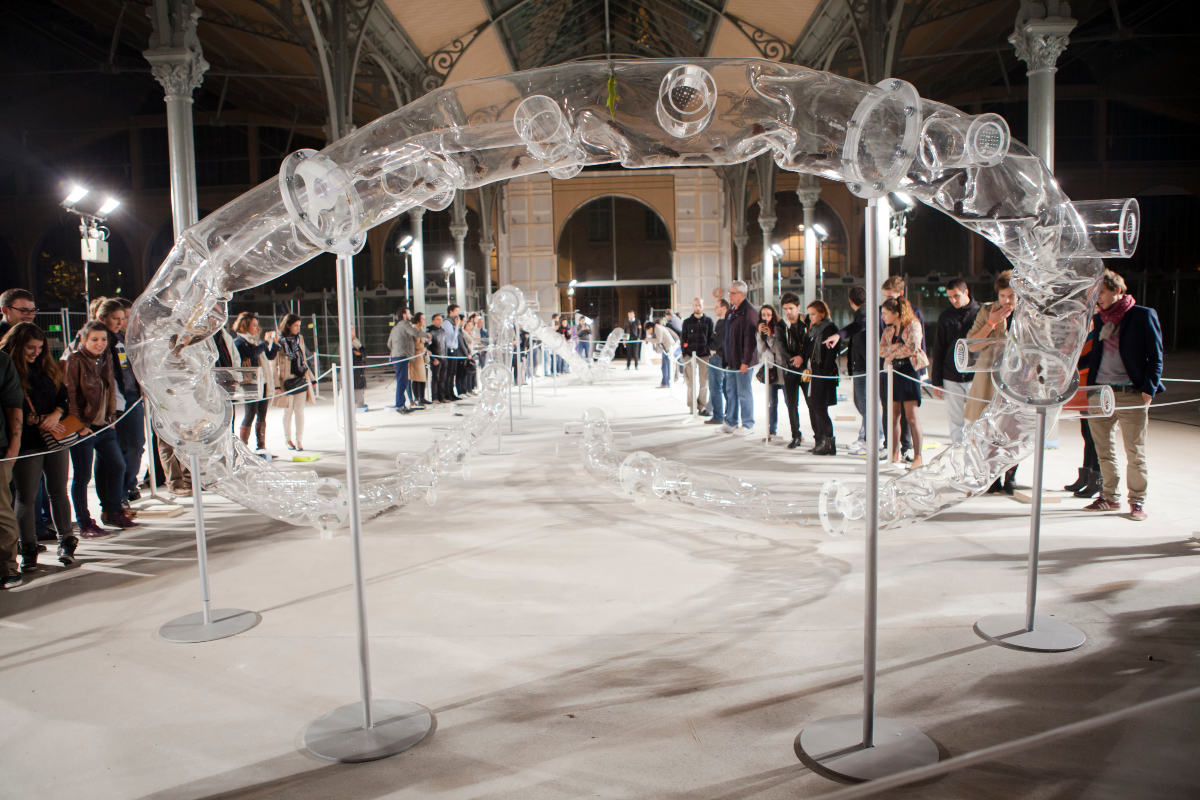 Ceinture, une Installation monumentale par Huang Yong Ping au Carreau du Temple (3e arr.). Dans ce large tube transparent se meuvent sous les yeux du public, reptiles et insectes. Cette sculpture monumentale ondule et invite ainsi le visiteur à une déambulation dans cet espace ouvert. 
