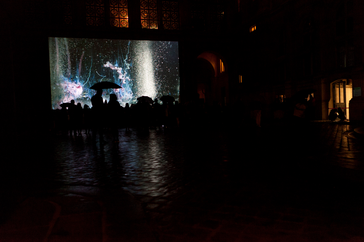 L'oeuvre Présage - Performance vidéo par Hicham Berrada à l’Hôtel de Ville de Paris (4e arr.). L’artiste nous livre ses « présages » en associant différents produits chimiques, dont les réactions sont vidéo-projetées en direct sur grand écran. Formes et couleurs apparaissent et disparaissent, comme une métaphore de la vie.